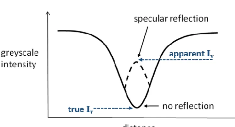 Figure 6. An ideal blood vessel intensity-profile cross section,  with  and  without  specular  reflection