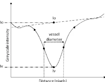 Figure  14.  Depiction  of  a  vessel  profile  fitting  scheme  to  estimate  vessel  diameter,  and  intensity  inside the vessel (I v ) and the background intensity if  the  vessel  were  not  present  (I o )