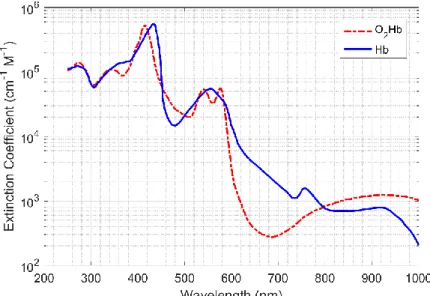 Figure created from spectroscopic data tabulated by S. Prahl (1999).[30] The  units for extinction coefficient are per centimetre per mole (cm -1  M -1 ).