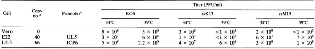 TABLE 1. Plaquing efficiencies of HSV ts mutants on Vero, E22, and L2-5 cells