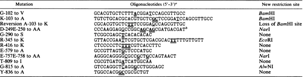 TABLE 1. Sequences of mutagenic oligonucleotides