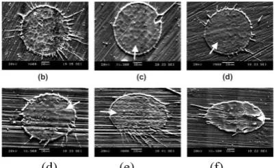 Figure 2. SEM examination figures that obtained in Kang and Ng [5]. The angles of impact are (a) 10°, (b) 20°, (c) 30°, (d) 