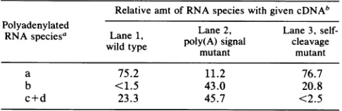 TABLE 1. Quantitation of polyadenylated RNA species