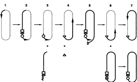 FIG. 6.figures,HDV Model for the regulation of antigenomic synthesis during genome replication