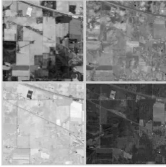Figure 3 shows first four principal components obtained by applying PCA to AVIRIS Indian Pine data
