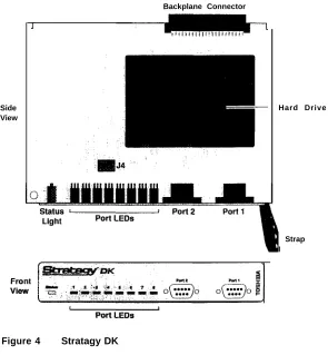 Figure 4Stratagy DK