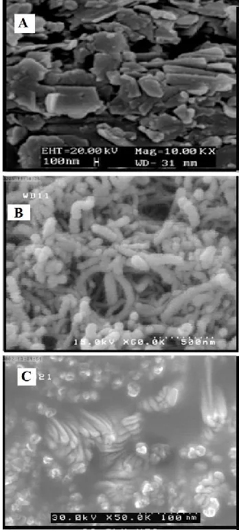 Figure 1.  SEM images of (A) bare CCE, (B) MWCNTs/CCE and (C) MWCNTs/IL/CCE.  