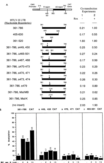 FIG. 2.40constitutivelydeviationofandwithmutatedresultsvector. transient large Gene expression assay of RxRE mutants