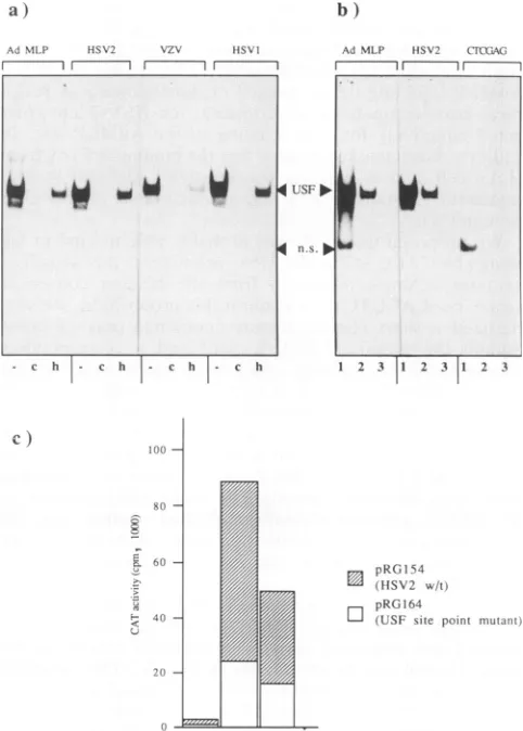 FIG. 4.fectedactivitytion.Vmw65withpRG154structshIEllOKvectormeasuredHSV-1struct postinfection