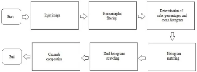 Figure  1  illustrates  the  proposed  homomorphic  filtering  and  mean  histogram  matching  (HF-MHM)  method