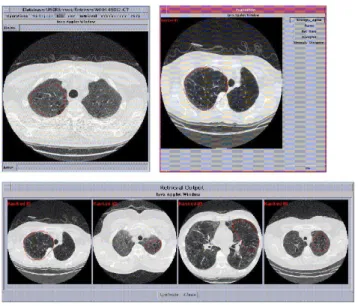 Fig. 2.2: Some of the retrieved images with ASSERT tool.