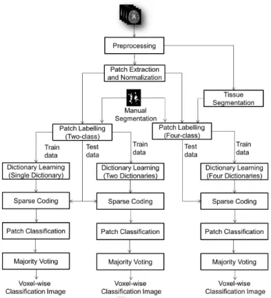 Figure 1: Flowchart of MS Lesion Classification using Dictionary Learning