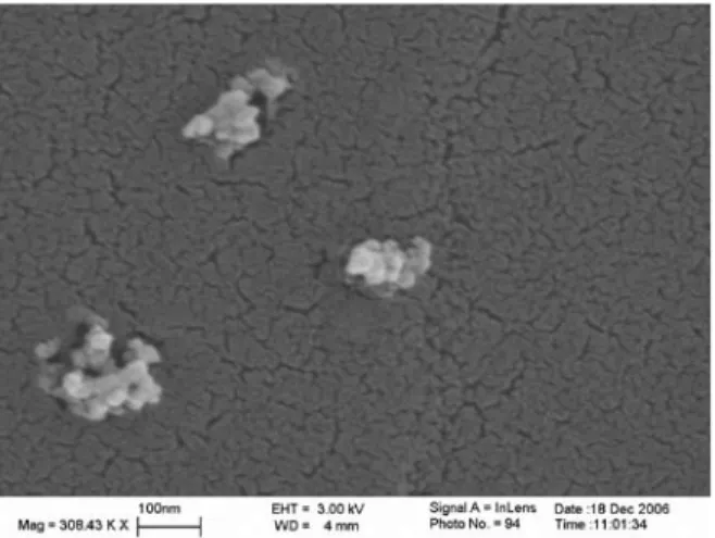 Fig. 4  SEM image of based TiO 2  nanofluids: Degussa P25 TiO 2  with  primary particle diameter ∼ 25nm.