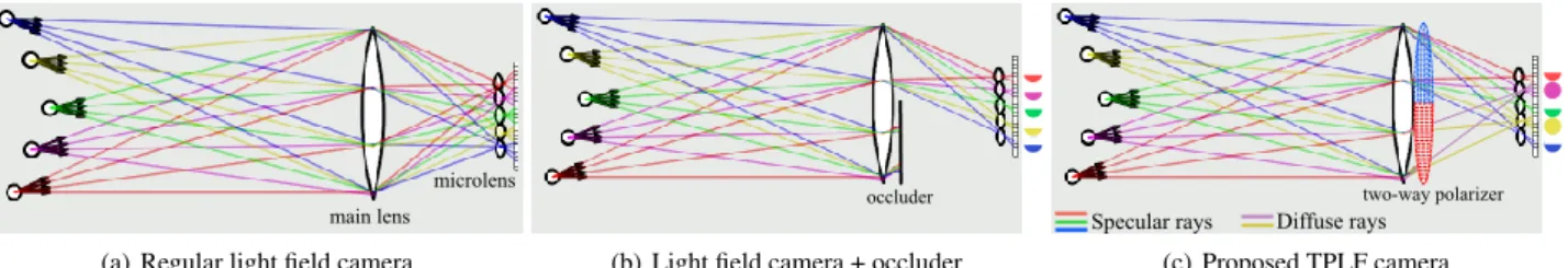 Figure 2: Ray simulation † for illustrating the concept of proposed TPLF camera. (a) Regular light field imaging with a camera with a microlens array for diffuse and specular rays