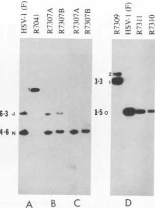 TABLE 1. Genotypes of genetically engineered virusesa