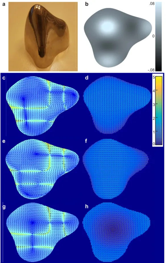 Figure 1. Specular flow and optic flow. (a) Specular object of simple parametric shape that we use to illustrate the two different types of flows