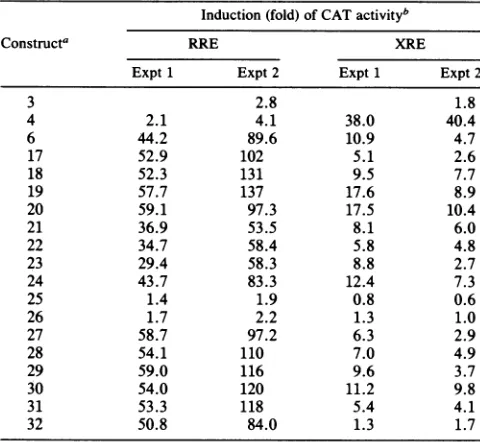 TABLE 2. Effects of mutations in the conserved tetrapeptidemotif on the ability of Rex and of Rev/Rex chimeras totransactivate through the XRE