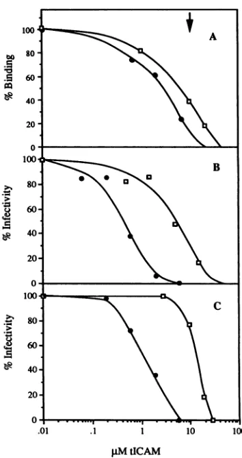 FIG. 2.(B)and CD spectra of IgG and ICAM-1 proteins. (A) c92.5 IgG; ICAM-1; (C) tICAM(453); (D) tICAM(185)