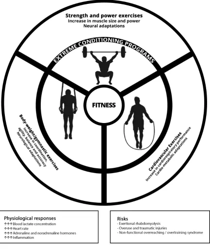 Figure 3 Extreme conditioning programme characteristics, possible chronic adaptions of each foundational modalities, physiological responses and potential risks.