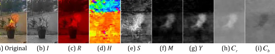 Fig. 1. The different feature channel images of a flame. 