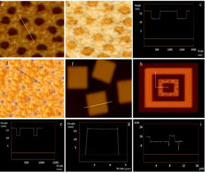Figure 3. AFM NanoscopeIII image of single crystals grown at Tc = 30 °C. Leopard skin-like mixed-brush single crystal of PEG5000-b-PS4600/PEG5000-b-PMMA8700, height image (the maximum z-scale is 5 nm), height variance: 4.70 nm, domain size: 348 nm (a), pha