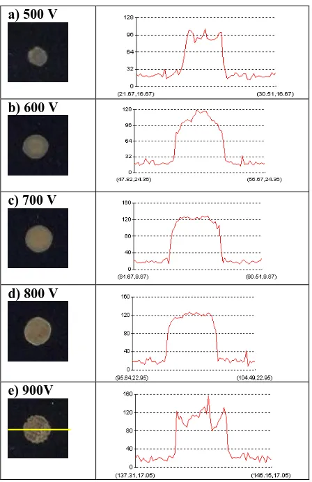 Figure 4: Typical beam spots and line profile of Q-switched Nd:YAG laser at different operation voltage of power supply