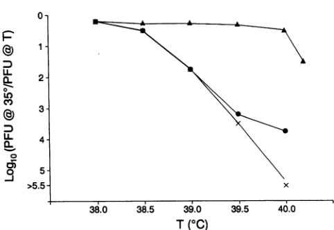 FIG.1.P3/Leon Temperature sensitivity of P3/Sabin (x), SV3/L (0), and (A).