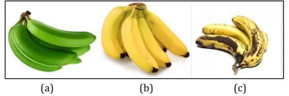 Fig. 2. (a) The temperature drift in chemoreceptor readings, and (b) the temperature — MQ/TGS sensor plot