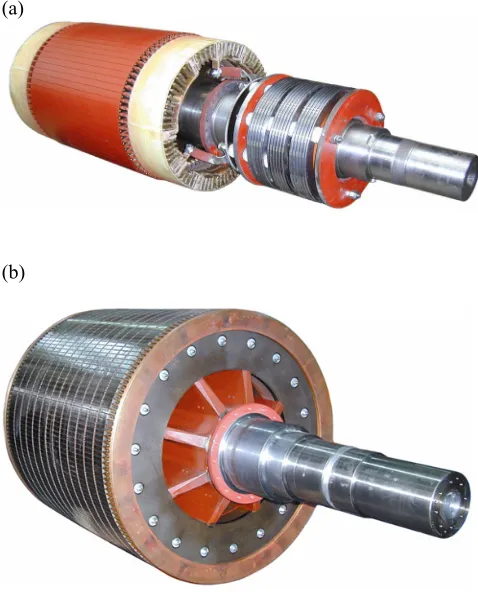 Figure 1: (a) slip ring rotor and (b) squirrel cage rotor  