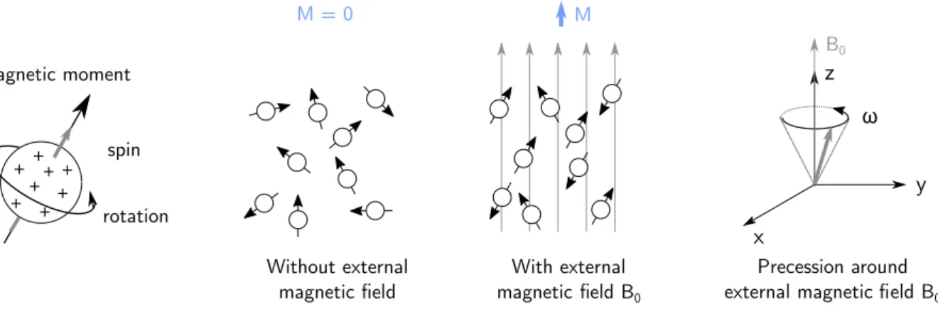 Figure 2.6: Alignment of magnetic moments with and without external magnetic field B 0 