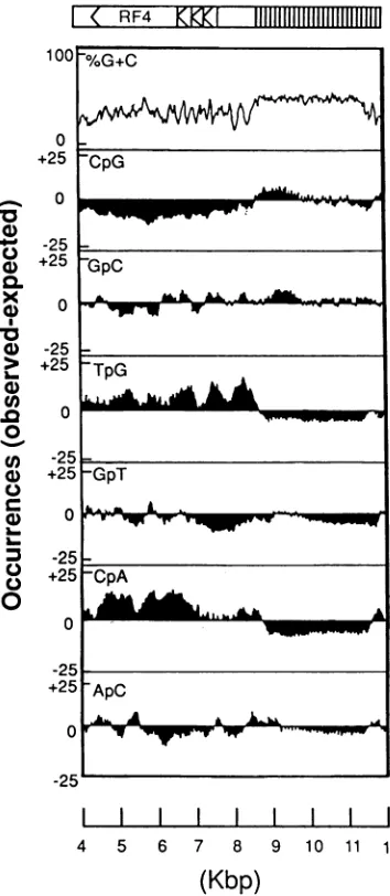 FIG. 4.formedCATacetylations(asa9.5,CATtransfectedMethods.and total (a) CAT activity induced in cotransfections of pLTR- (1 jig) with increasing amounts of the effector plasmid, pR56 indicated), which contains the putative IE sequences