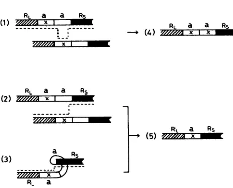 FIG.Pathways