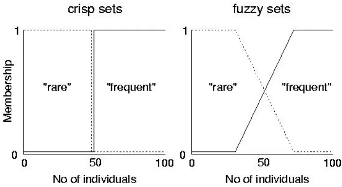 Figure 2.5: Comparison between crisp and fuzzy sets [9] 