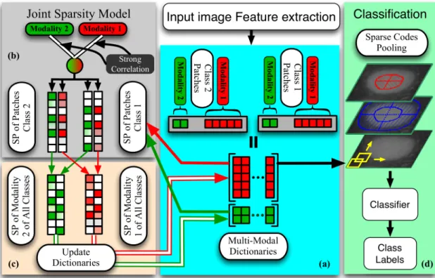Figure 2.1: The illustration for the joint sparse modeling for classification task of two classes with two modalities: (a) The patches from two classes have M = 2 modalities that are shown as red and green
