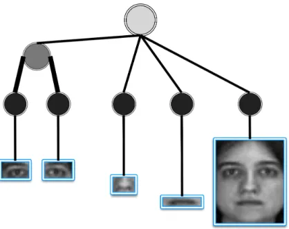 Figure 3.4: We employ the blue rectangular masks and cropping out the corresponding areas