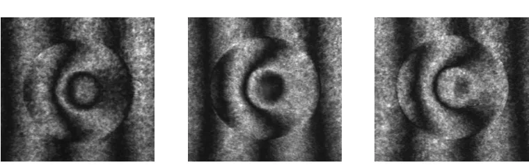 Figure 3:  The simultaneously-captured interferograms of laser interaction in air. 