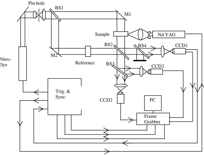 Figure 1  The simultaneous interferometry system developed 
