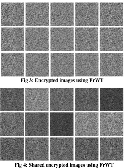 Fig 3: Encrypted images using FrWT 