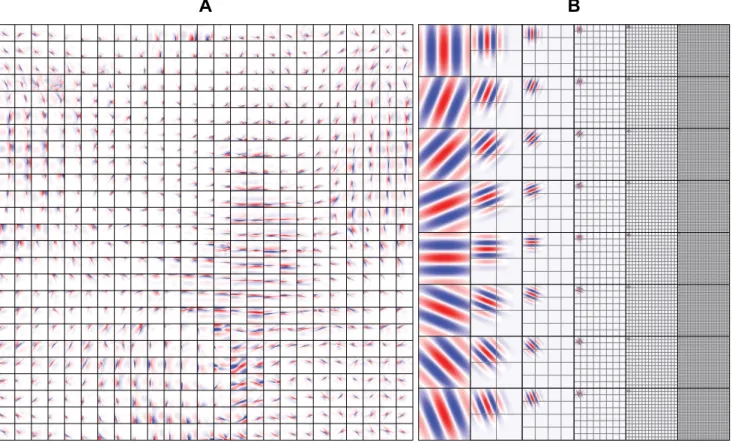 Figure 2. Simple cell receptive fields. (A) Simple cell receptive fields of the SC model