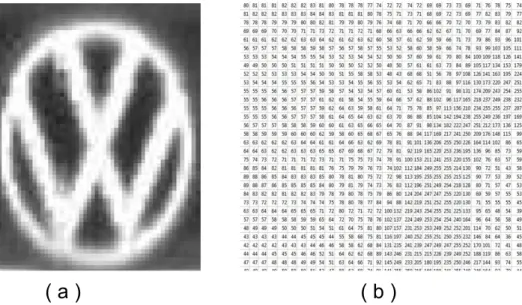Figure 2.1: The ways in which humans and computers understand an image, respectively.