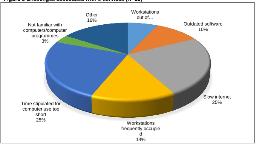 Figure 3 Challenges associated with e-services (N=25) 