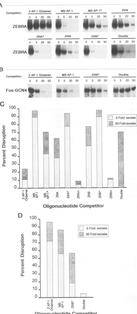 FIG. 7.ities.Fig.notedaffinity; Evaluation of ZEBRA and Fos-GCN4 binding site affin- Affinities were determined from the competition analysis in 6