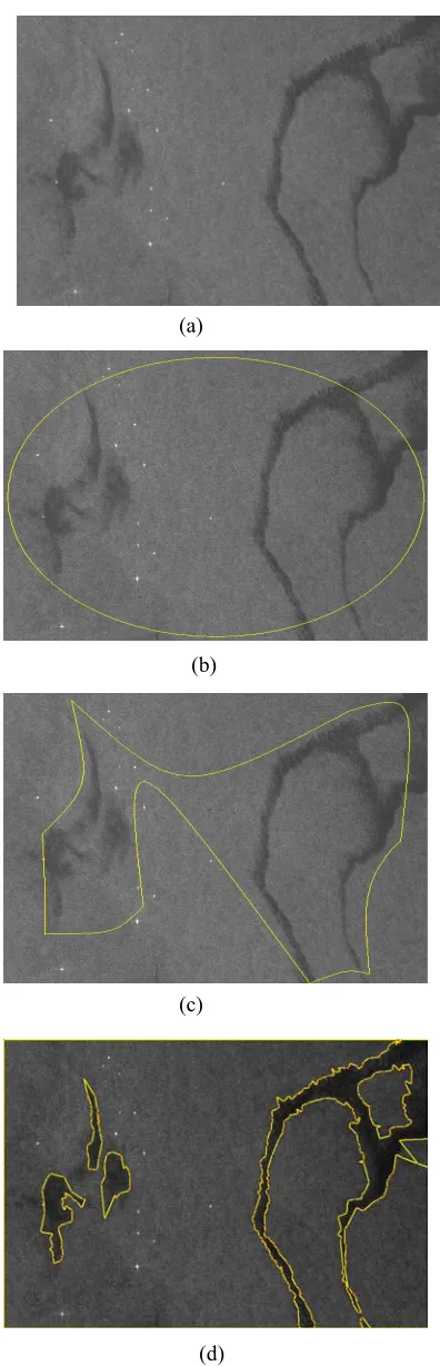 Figure 5: image segmentation (a) original image, (b) initial curve, (c) intermediate curve, (d) final segmentation    