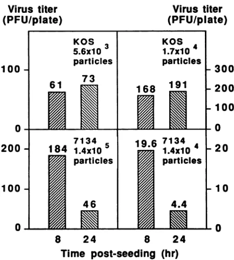 FIG. 2.dayseededplatingingcountrightInfected1, and Effect of multiplicity of infection of virus particles on the efficiency of 7134