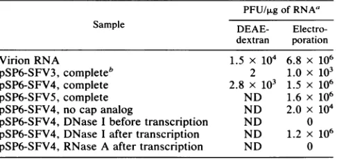 TABLE 1. Infectivity of SFV RNA