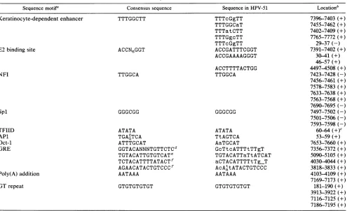 TABLE 4. Location of sequence motifs in the HPV-51 genome