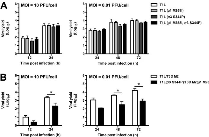 FIG 6 Growth proﬁles of T1L and T1L/T3D M2 variants. (A and B) L cell monolayers were infected with virions atlogan MOI of 10 PFU/cell or 0.01 PFU/cell
