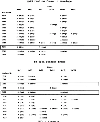 FIG. 2-Continued.