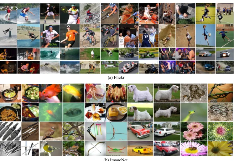 FIGURE 8. Some example images of experimental datasets used in our experiment.