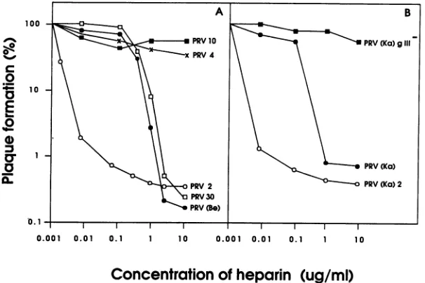 TABLE 2. Effect of heparin on adsorption of radiolabeledPrV(Be) and PrV2a